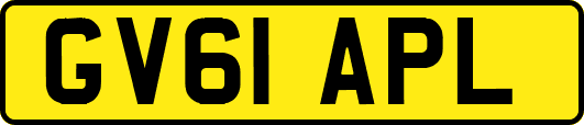 GV61APL