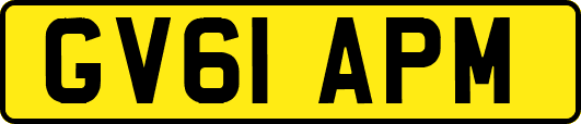GV61APM
