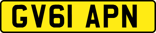 GV61APN