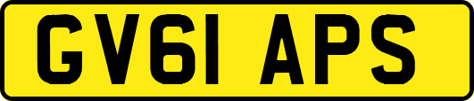 GV61APS