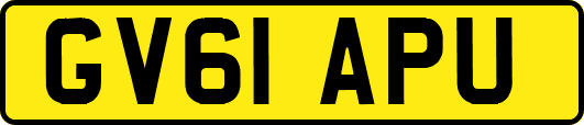 GV61APU
