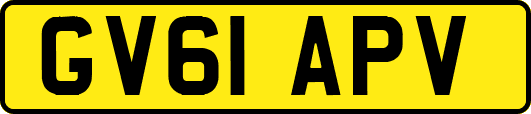 GV61APV