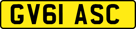 GV61ASC