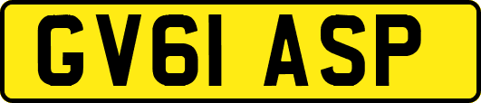 GV61ASP