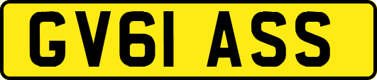 GV61ASS