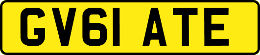 GV61ATE