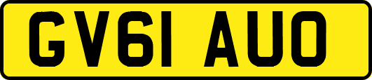 GV61AUO