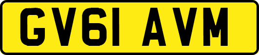 GV61AVM