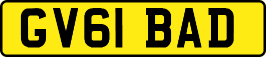GV61BAD