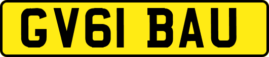 GV61BAU