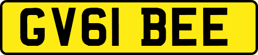 GV61BEE