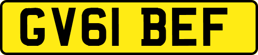 GV61BEF