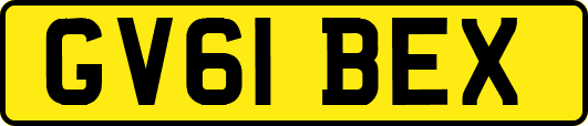 GV61BEX