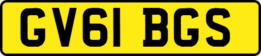 GV61BGS