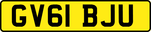 GV61BJU