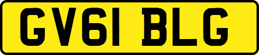 GV61BLG