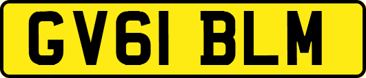 GV61BLM