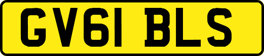 GV61BLS