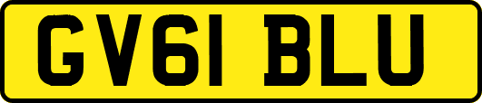 GV61BLU