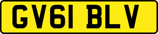 GV61BLV