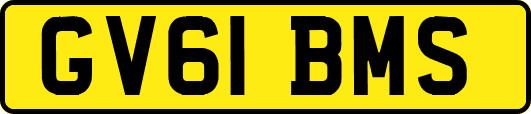 GV61BMS