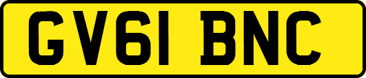 GV61BNC
