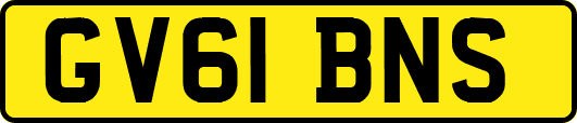 GV61BNS