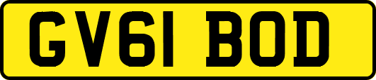 GV61BOD