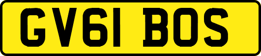 GV61BOS
