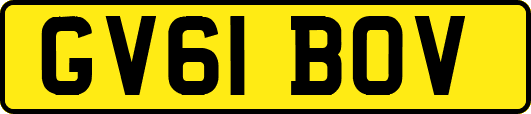 GV61BOV
