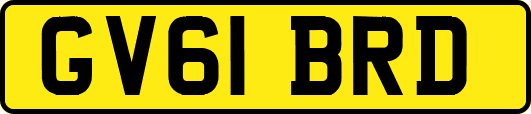 GV61BRD