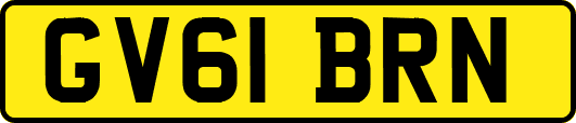 GV61BRN