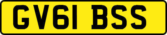 GV61BSS