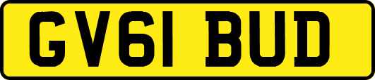 GV61BUD