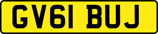 GV61BUJ