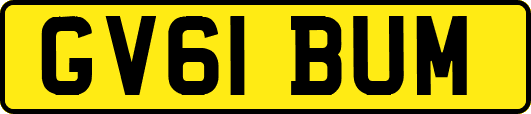 GV61BUM