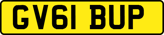 GV61BUP