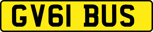 GV61BUS
