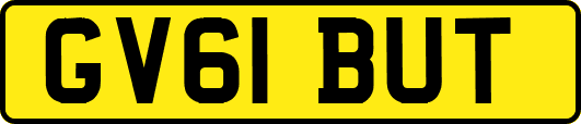GV61BUT