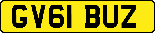 GV61BUZ