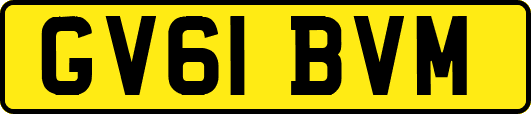GV61BVM