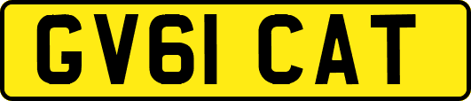 GV61CAT