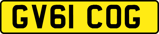 GV61COG