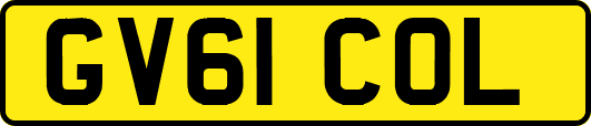 GV61COL