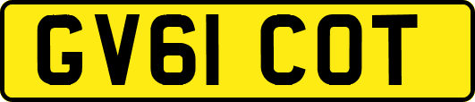 GV61COT