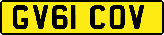 GV61COV