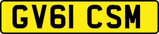 GV61CSM