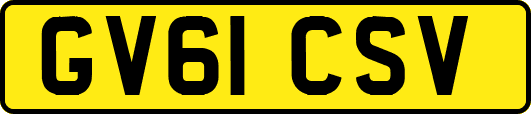 GV61CSV