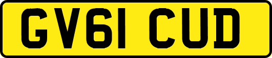 GV61CUD