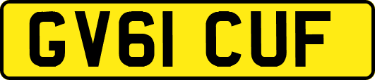 GV61CUF